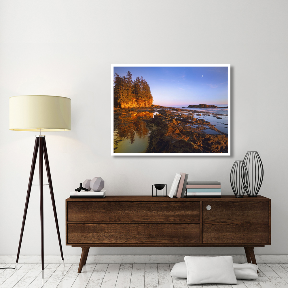 Tidepools exposed at low tide, Botanical Beach, Juan de Fuca Provincial Park, Vancouver Island, British Columbia, Canada-Paper Art-50&quotx38"