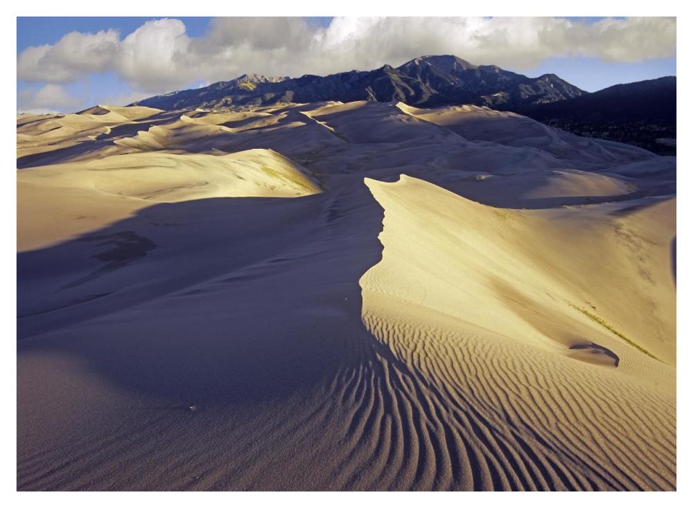 Rippled sand dunes with Sangre de Cristo Mountains in the background, Great Sand Dunes National Park and Preserve, Colorado-Paper Art-42"x32"