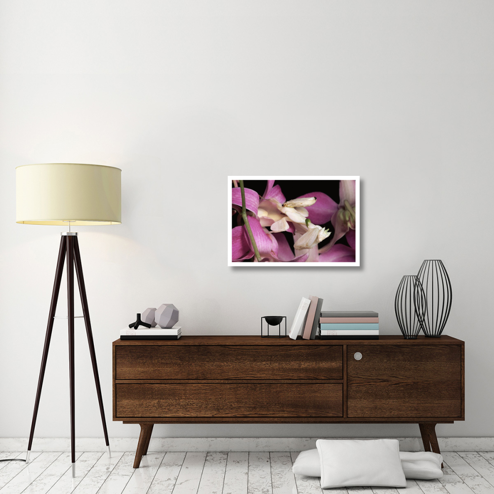 Orchid Mantis and orchid flower, Malaysia-Paper Art-32&quotx22"