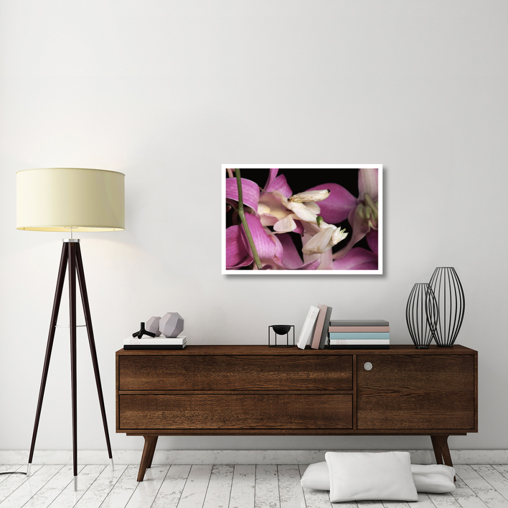 Orchid Mantis and orchid flower, Malaysia-Paper Art-38&quotx26"