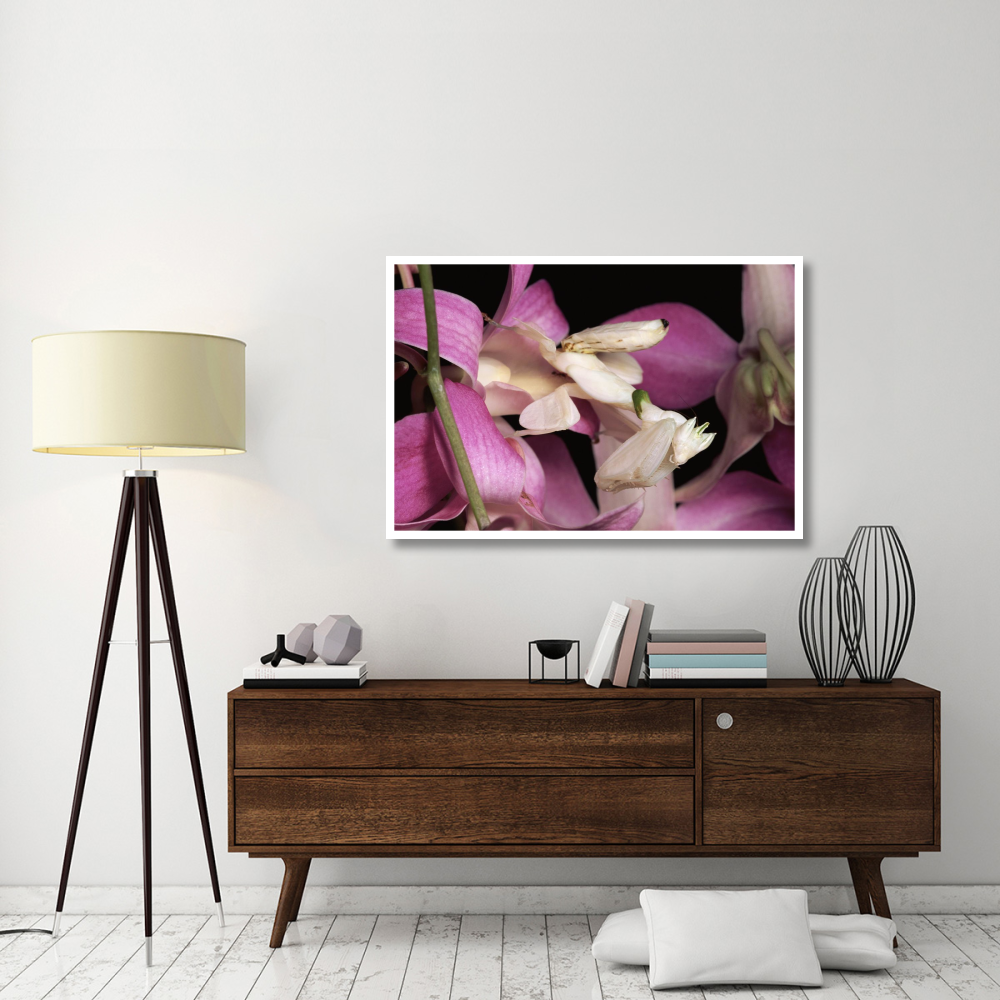 Orchid Mantis and orchid flower, Malaysia-Paper Art-50&quotx34"