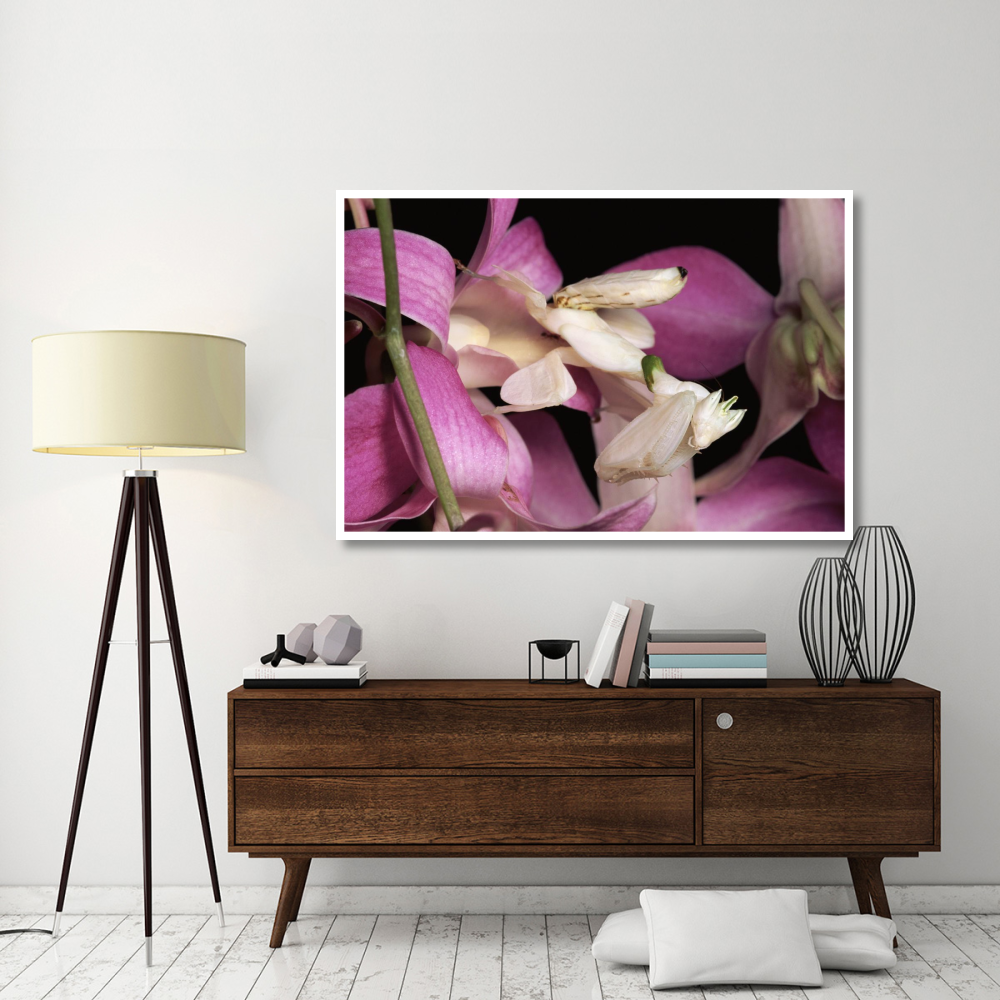 Orchid Mantis and orchid flower, Malaysia-Paper Art-62&quotx42"