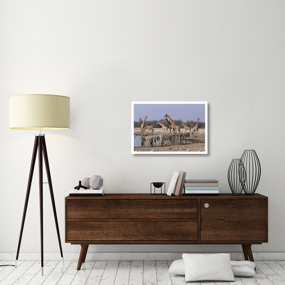 Burchell's Zebra and Giraffe at waterhole, Etosha National Park, Namibia-Paper Art-32&quotx22"