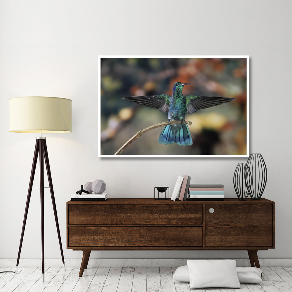 Green Violet-ear hummingbird, perched on branch, Monteverde Cloud Reserve, Costa Rica-Paper Art-62&quotx42"