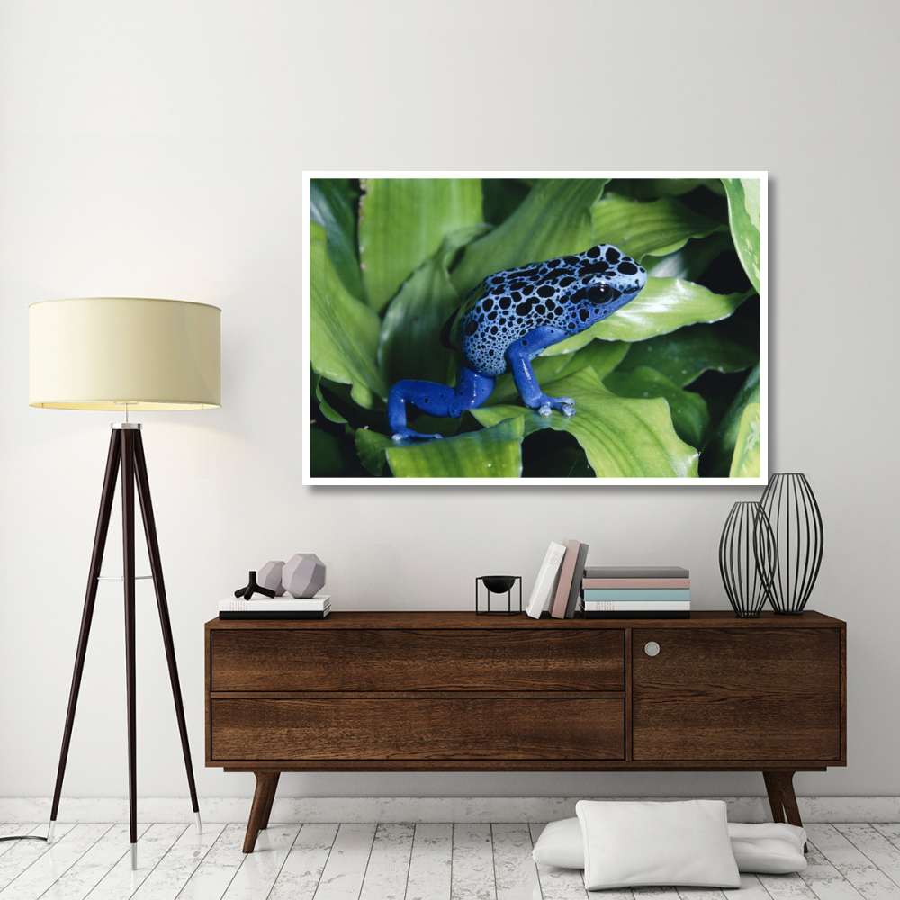 Blue Poison Dart Frog very tiny frog used by Indian tribes to poison tips of arrows, native to South America-Paper Art-62&quotx42"