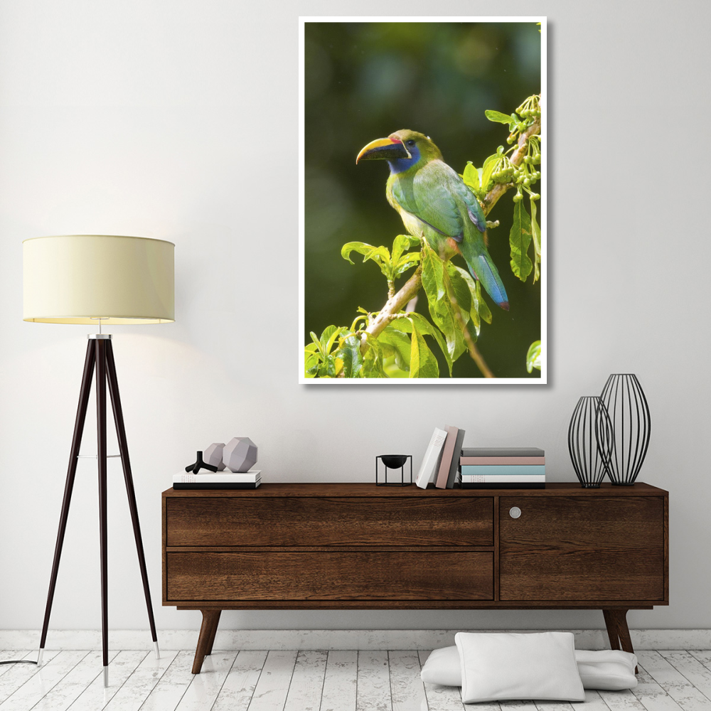 Emerald Toucanet, Costa Rica-Paper Art-42&quotx62"