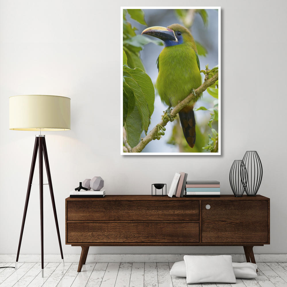 Emerald Toucanet, Costa Rica-Paper Art-42&quotx62"