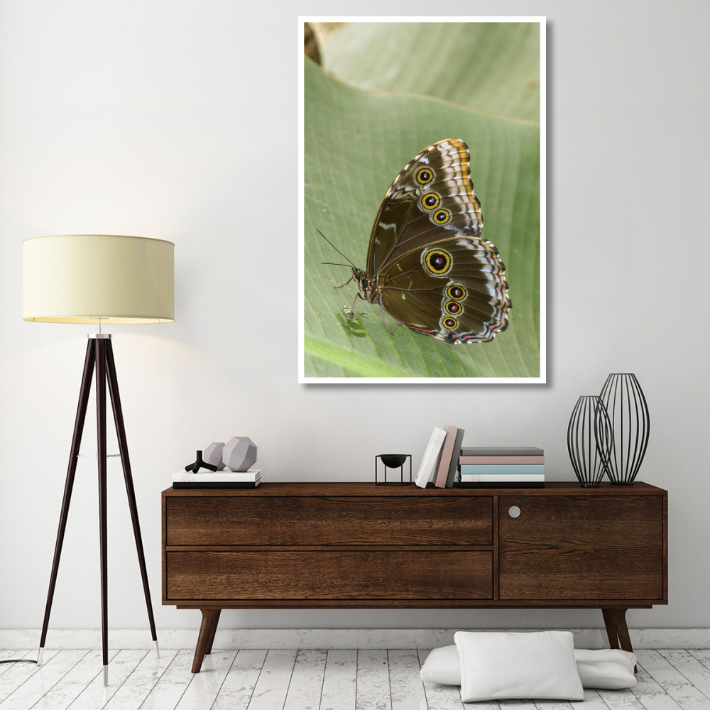 Blue Morpho butterfly, Ecuador-Paper Art-42&quotx62"