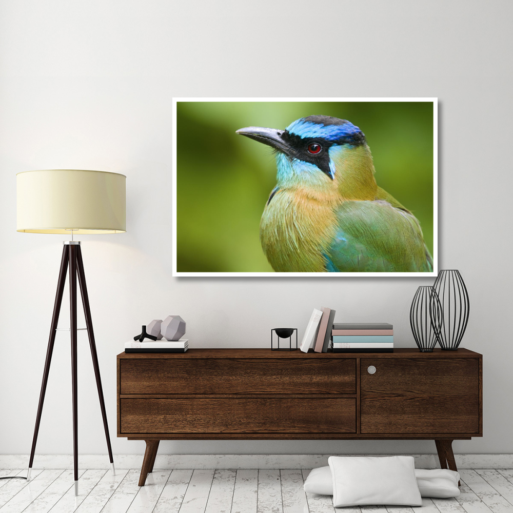 Blue-crowned Motmot, Costa Rica-Paper Art-62&quotx42"