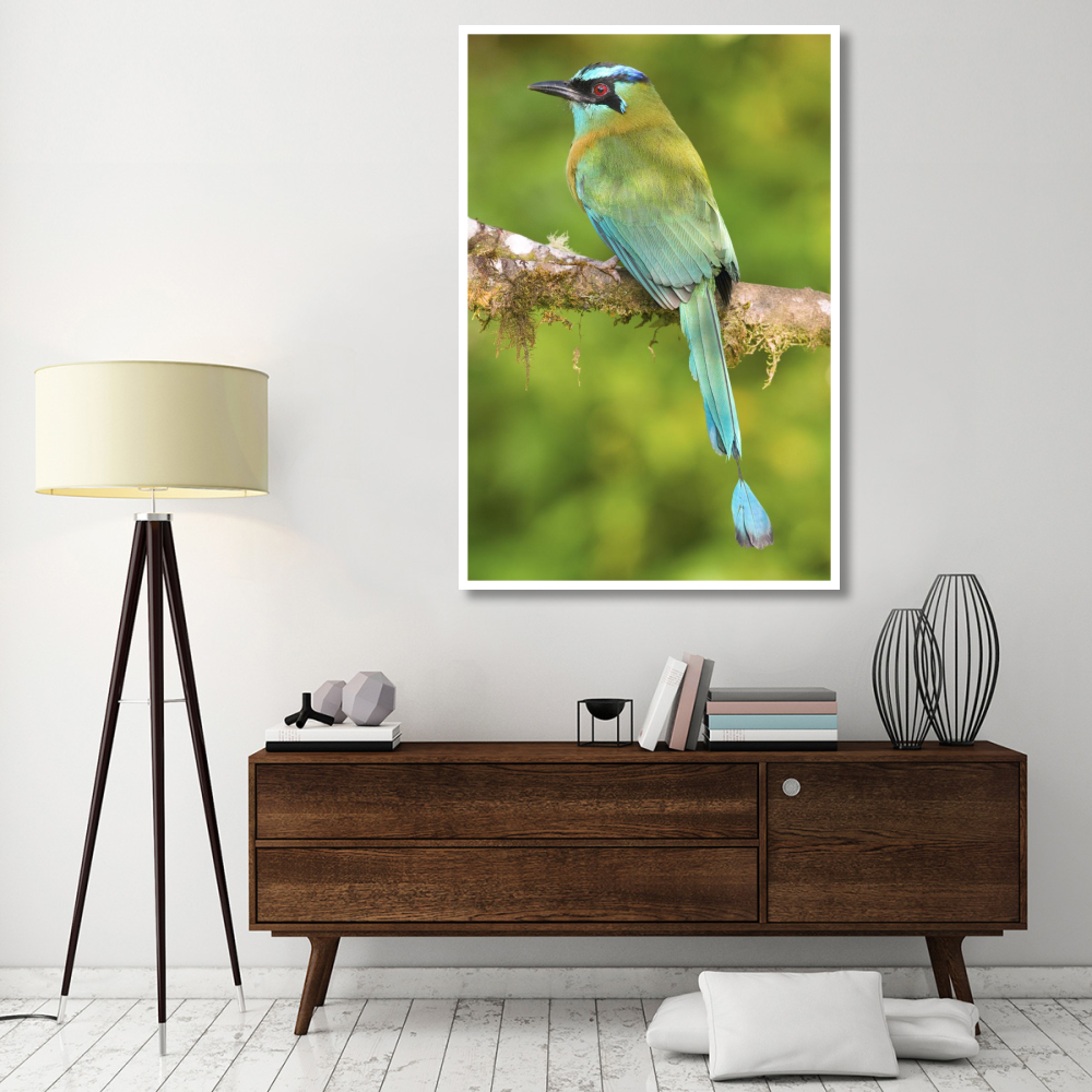 Blue-crowned Motmot, Costa Rica-Paper Art-42&quotx62"