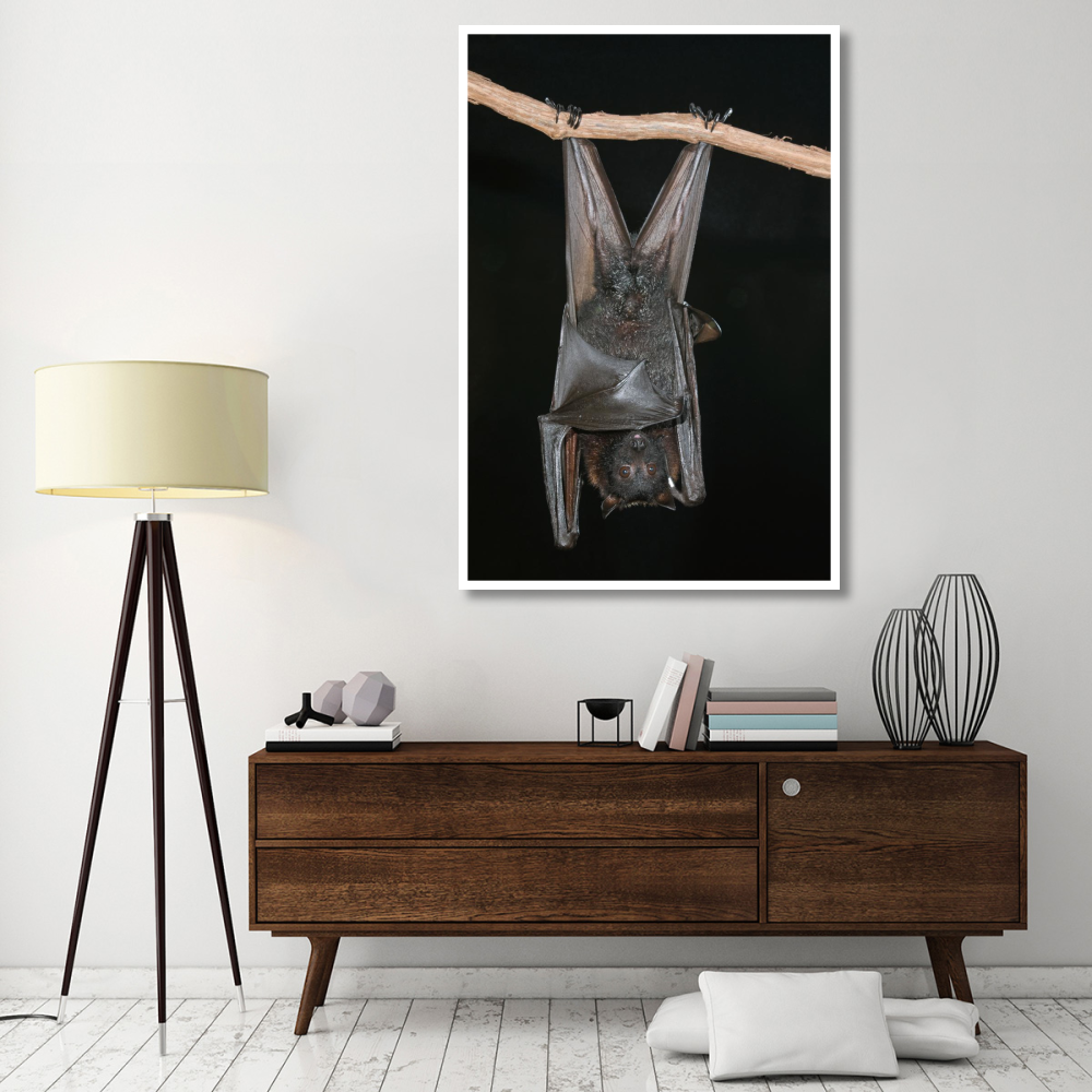 Large Flying Fox roosting, Michigan-Paper Art-42&quotx62"
