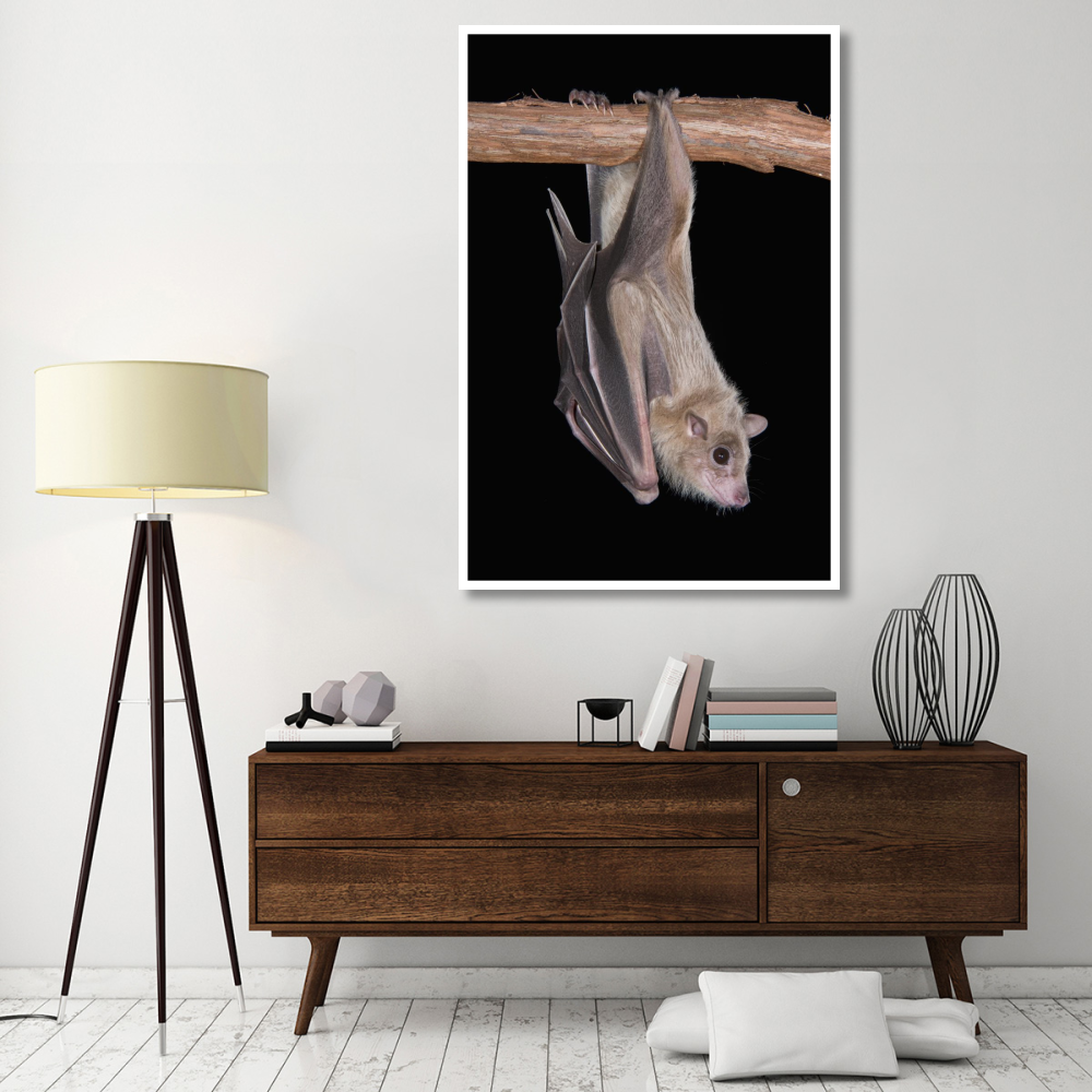Egyptian Fruit Bat roosting, Michigan-Paper Art-42&quotx62"