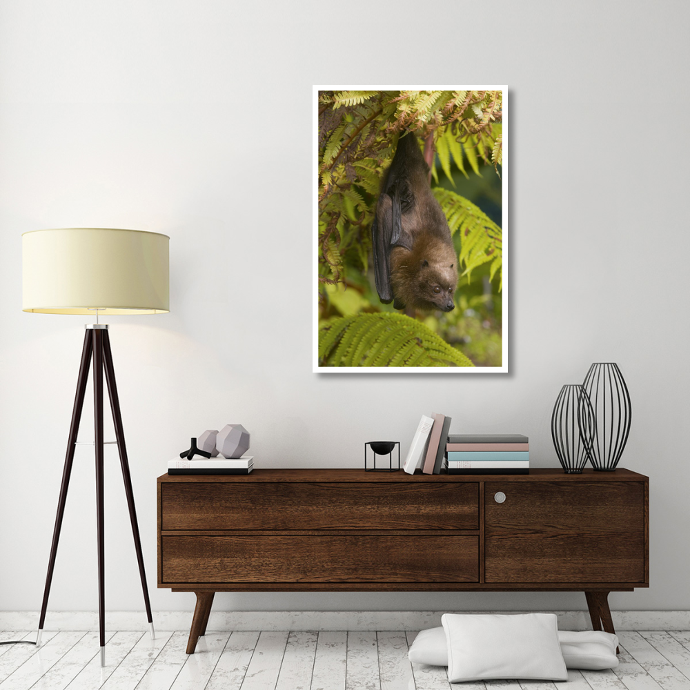 Rodrigues Flying Fox roosting, Michigan-Paper Art-34&quotx50"