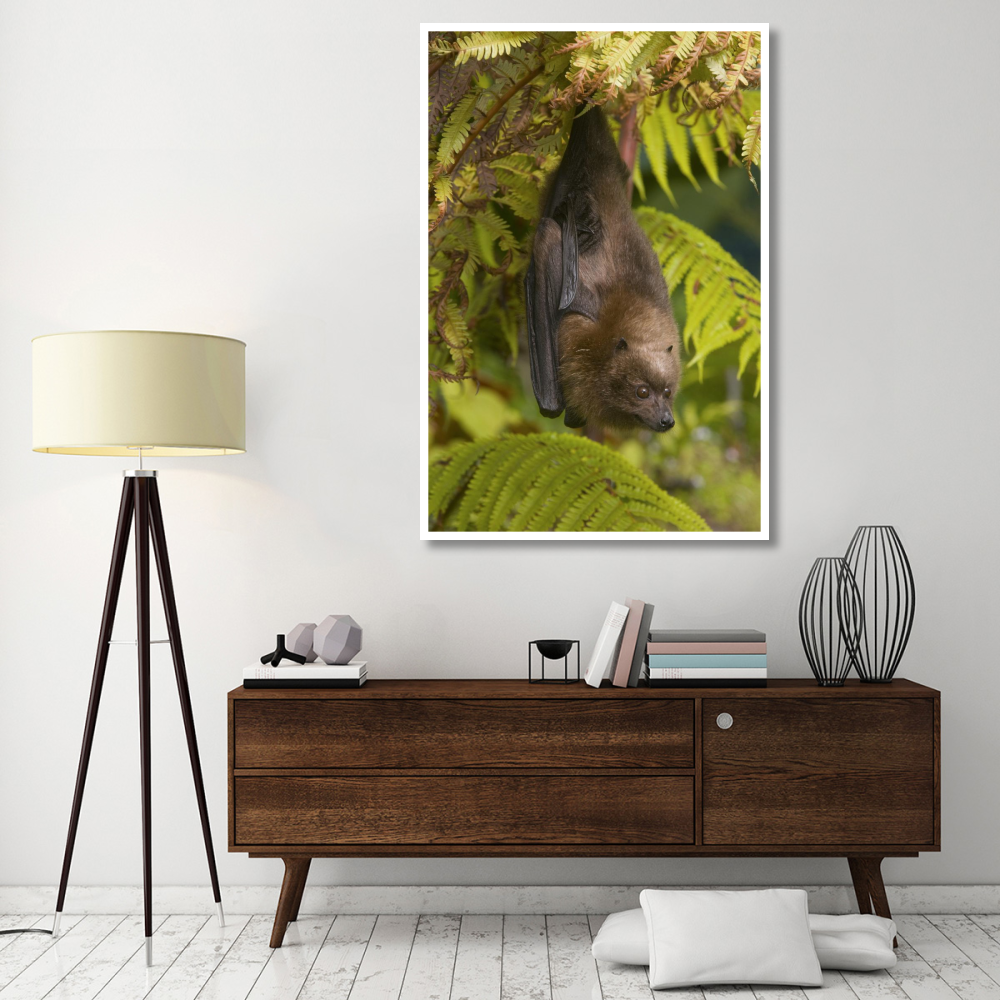 Rodrigues Flying Fox roosting, Michigan-Paper Art-42&quotx62"