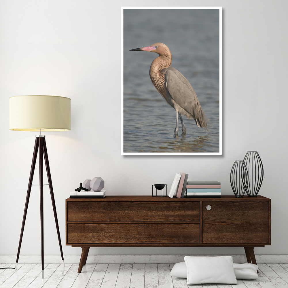 Reddish Egret, Fort Desoto Park, Florida-Paper Art-42&quotx62"