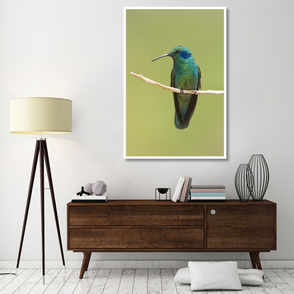 Green Violet-ear hummingbird, Costa Rica-Paper Art-42&quotx62"