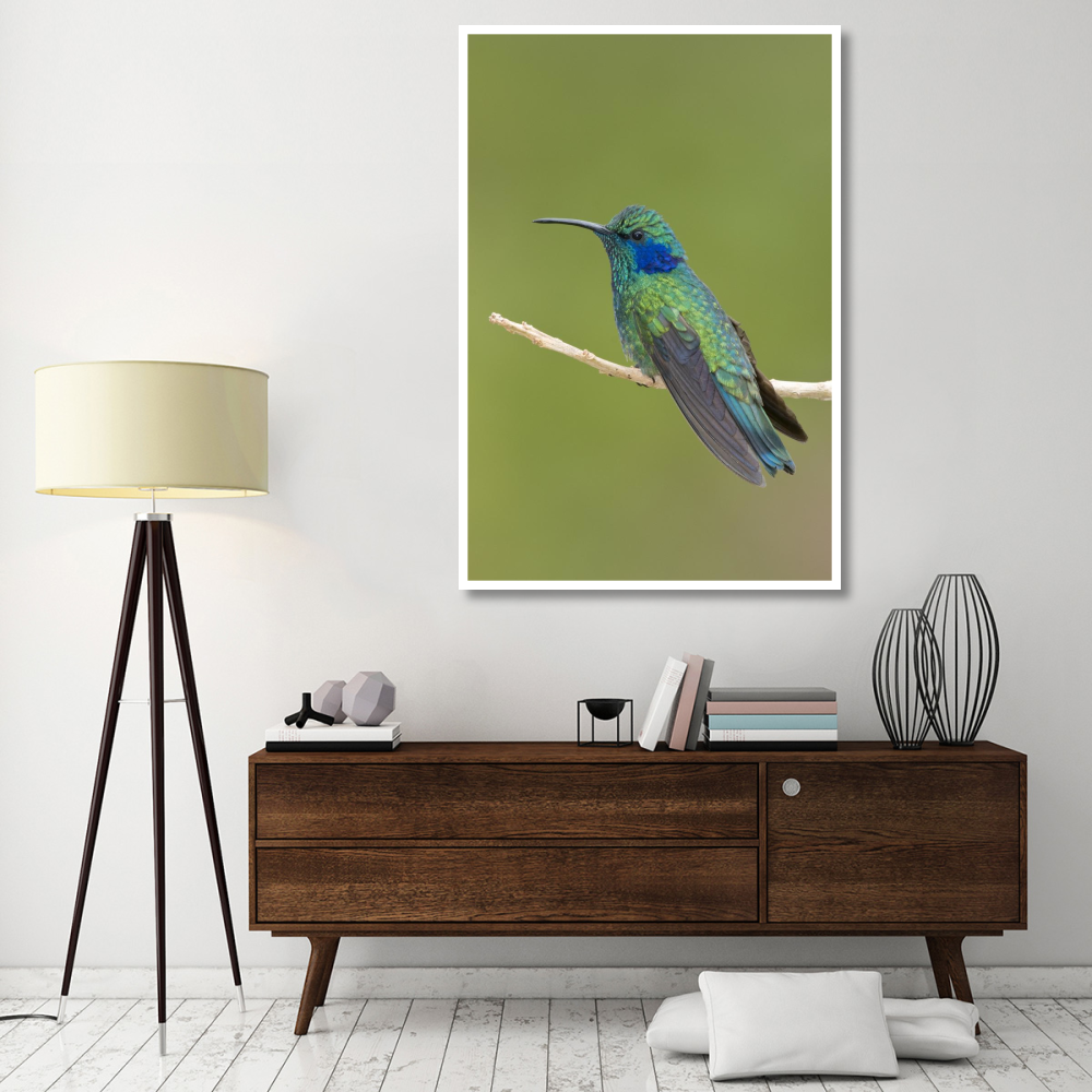 Green Violet-ear hummingbird, Costa Rica-Paper Art-42&quotx62"