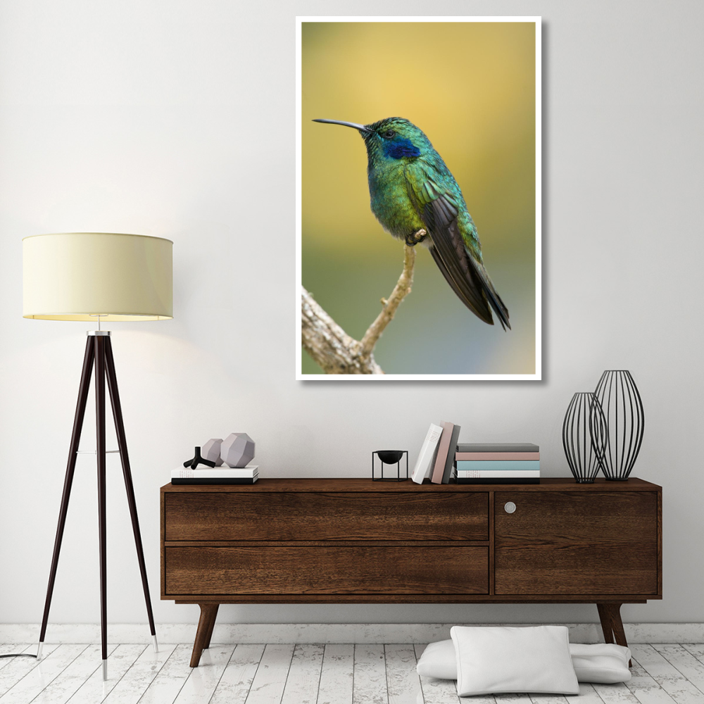 Green Violet-ear hummingbird, Costa Rica-Paper Art-42&quotx62"
