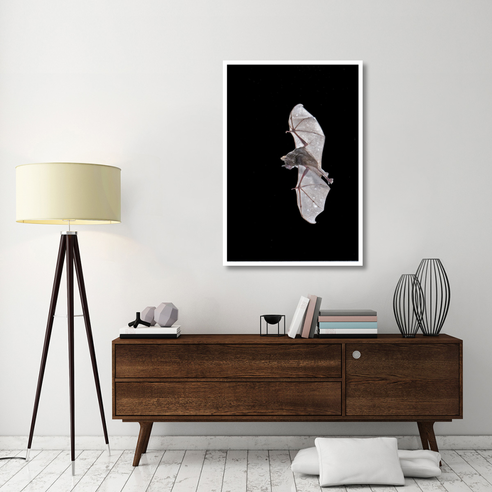Seba's Short-tailed Bat flying, Michigan-Paper Art-34&quotx50"