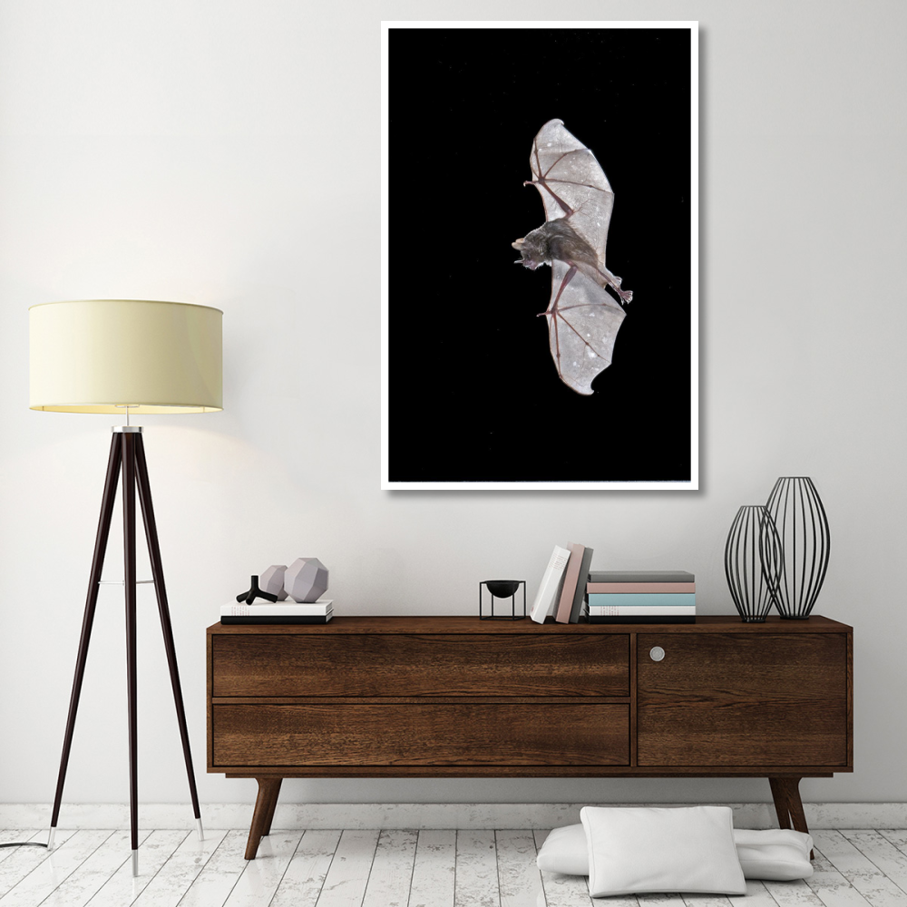 Seba's Short-tailed Bat flying, Michigan-Paper Art-42&quotx62"
