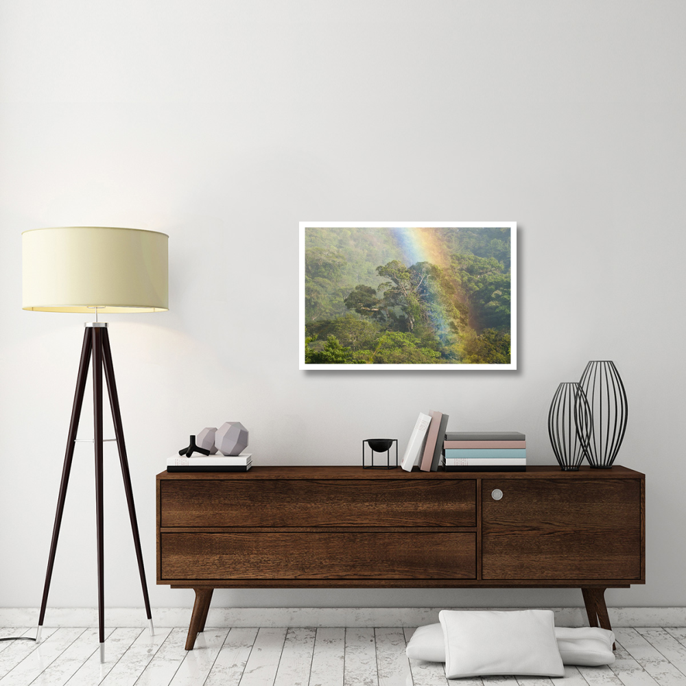Rainbow over rainforest canopy, Costa Rica-Paper Art-38&quotx26"