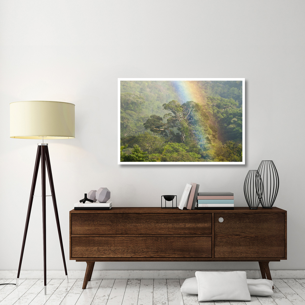 Rainbow over rainforest canopy, Costa Rica-Paper Art-50&quotx34"