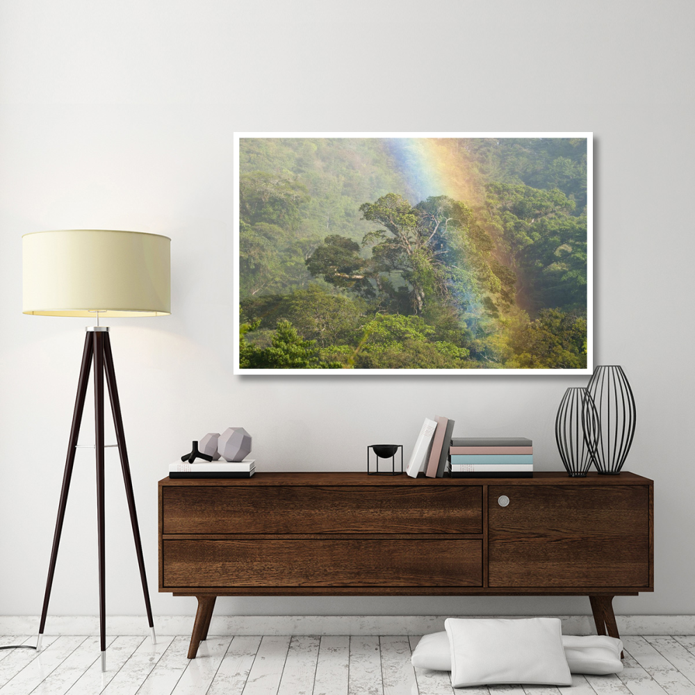 Rainbow over rainforest canopy, Costa Rica-Paper Art-62&quotx42"