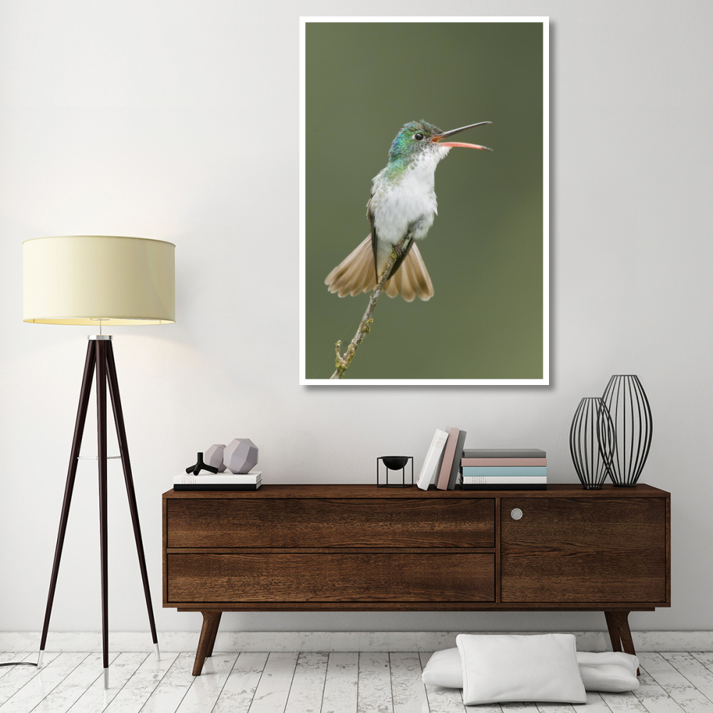 Andean Emerald hummingbird calling, Ecuador-Paper Art-42&quotx62"