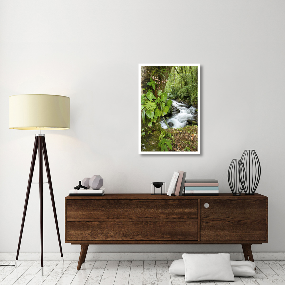 Creek flowing through rainforest, Costa Rica-Paper Art-26&quotx38"