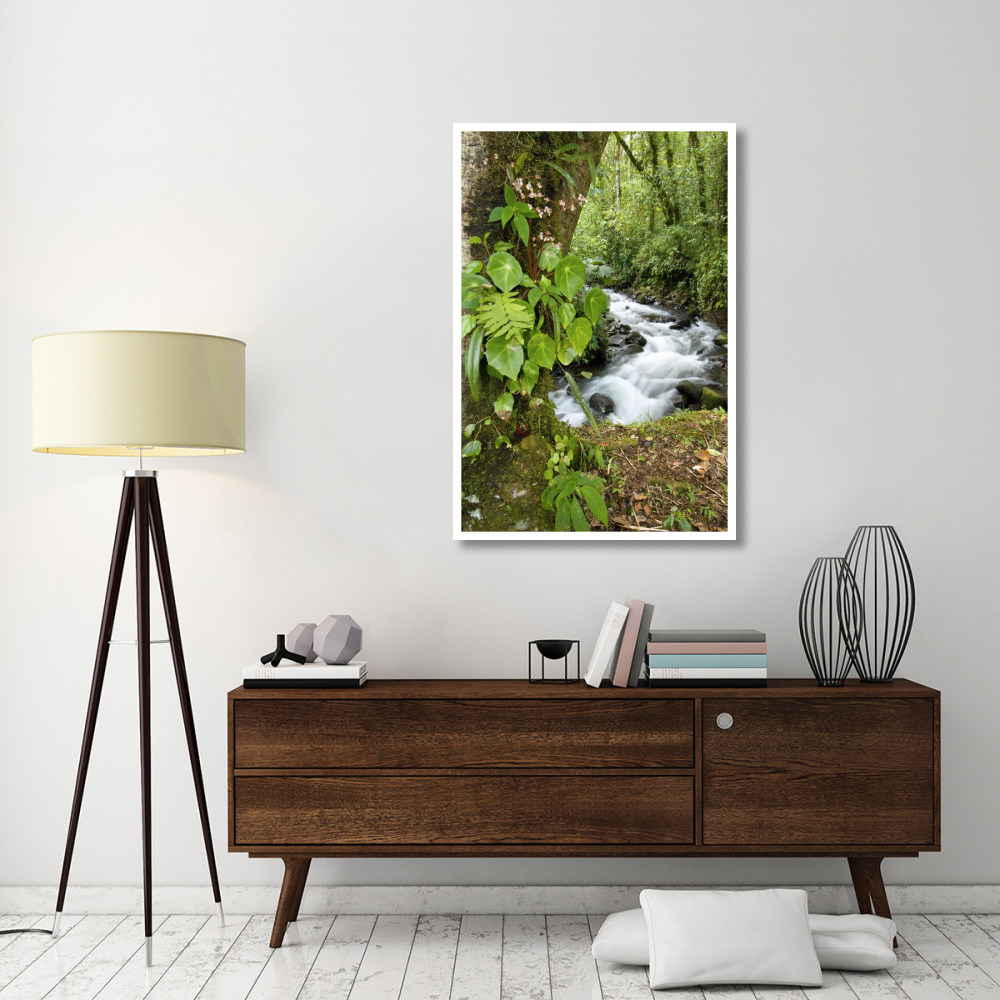 Creek flowing through rainforest, Costa Rica-Paper Art-34&quotx50"