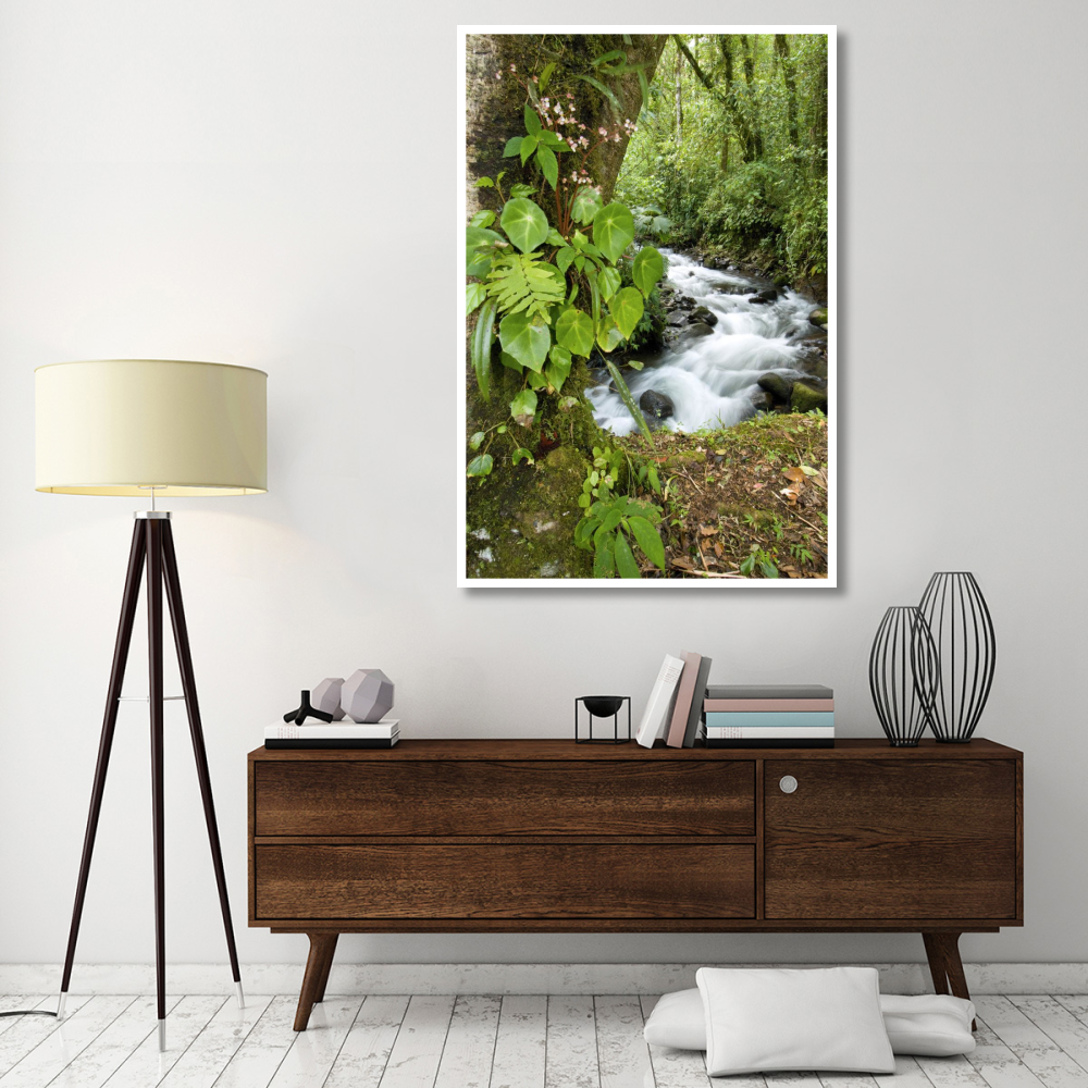 Creek flowing through rainforest, Costa Rica-Paper Art-42&quotx62"