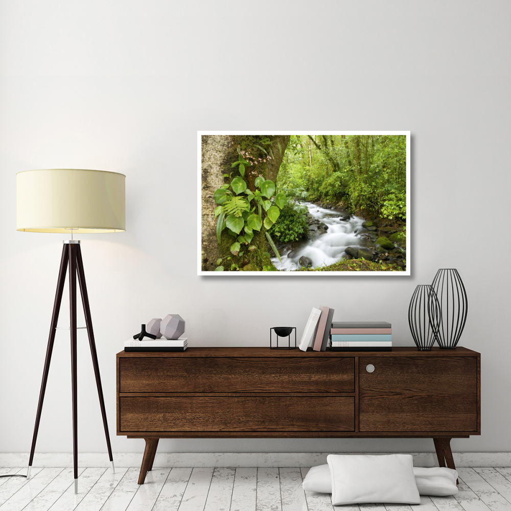 Creek flowing through rainforest, Costa Rica-Paper Art-50&quotx34"