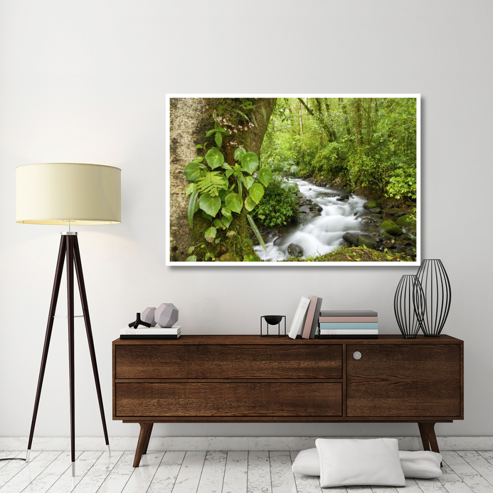 Creek flowing through rainforest, Costa Rica-Paper Art-62&quotx42"