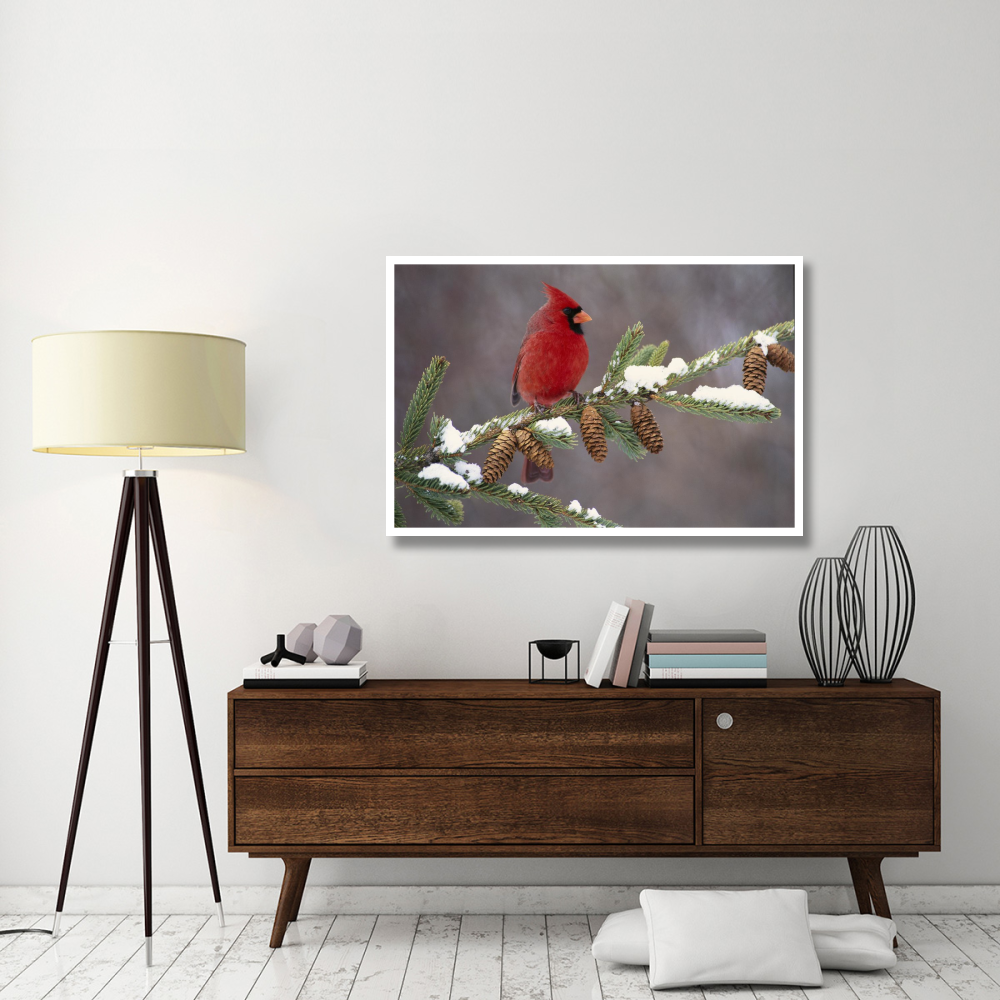 Northern Cardinal male, South Lyon, Michigan-Paper Art-50&quotx34"