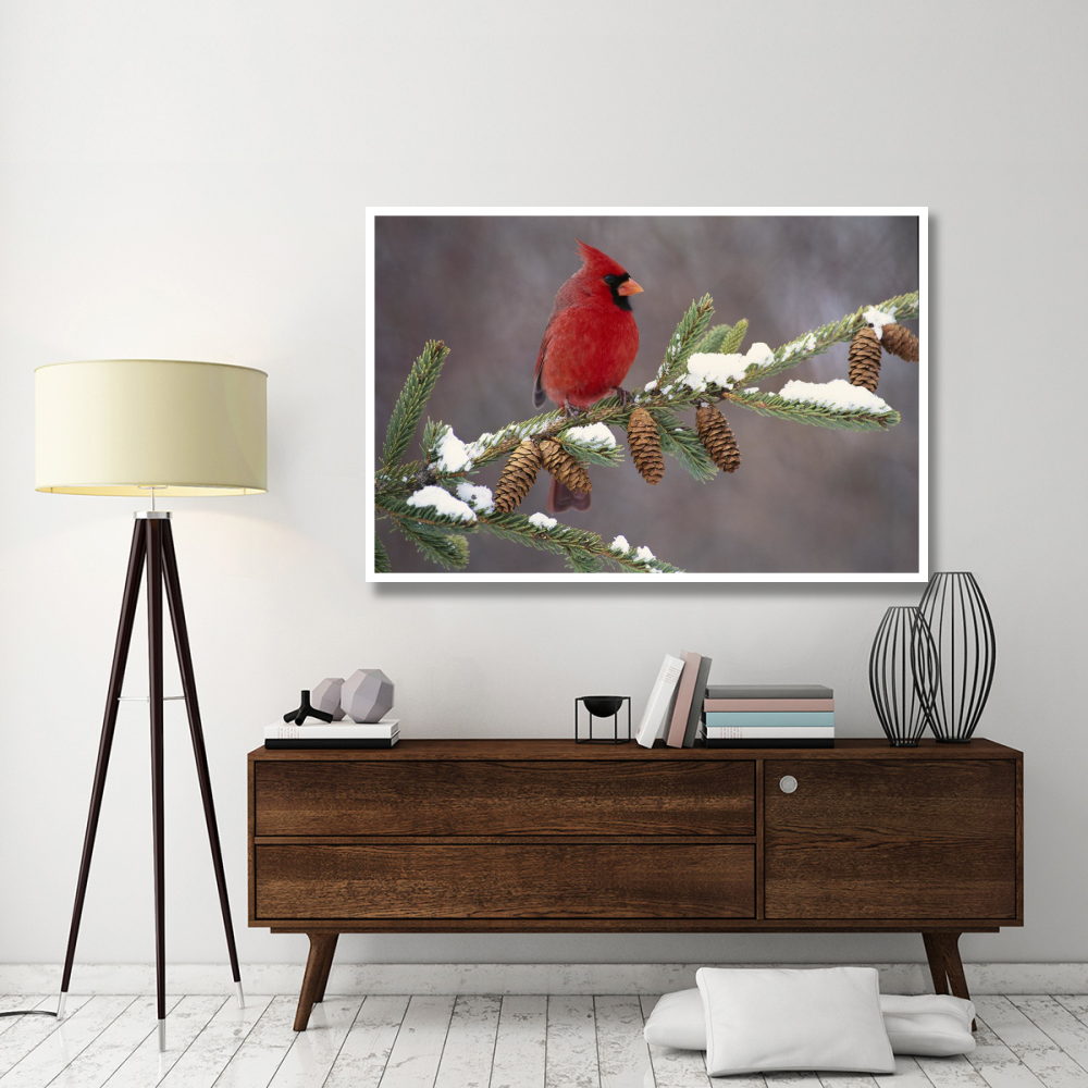 Northern Cardinal male, South Lyon, Michigan-Paper Art-62&quotx42"