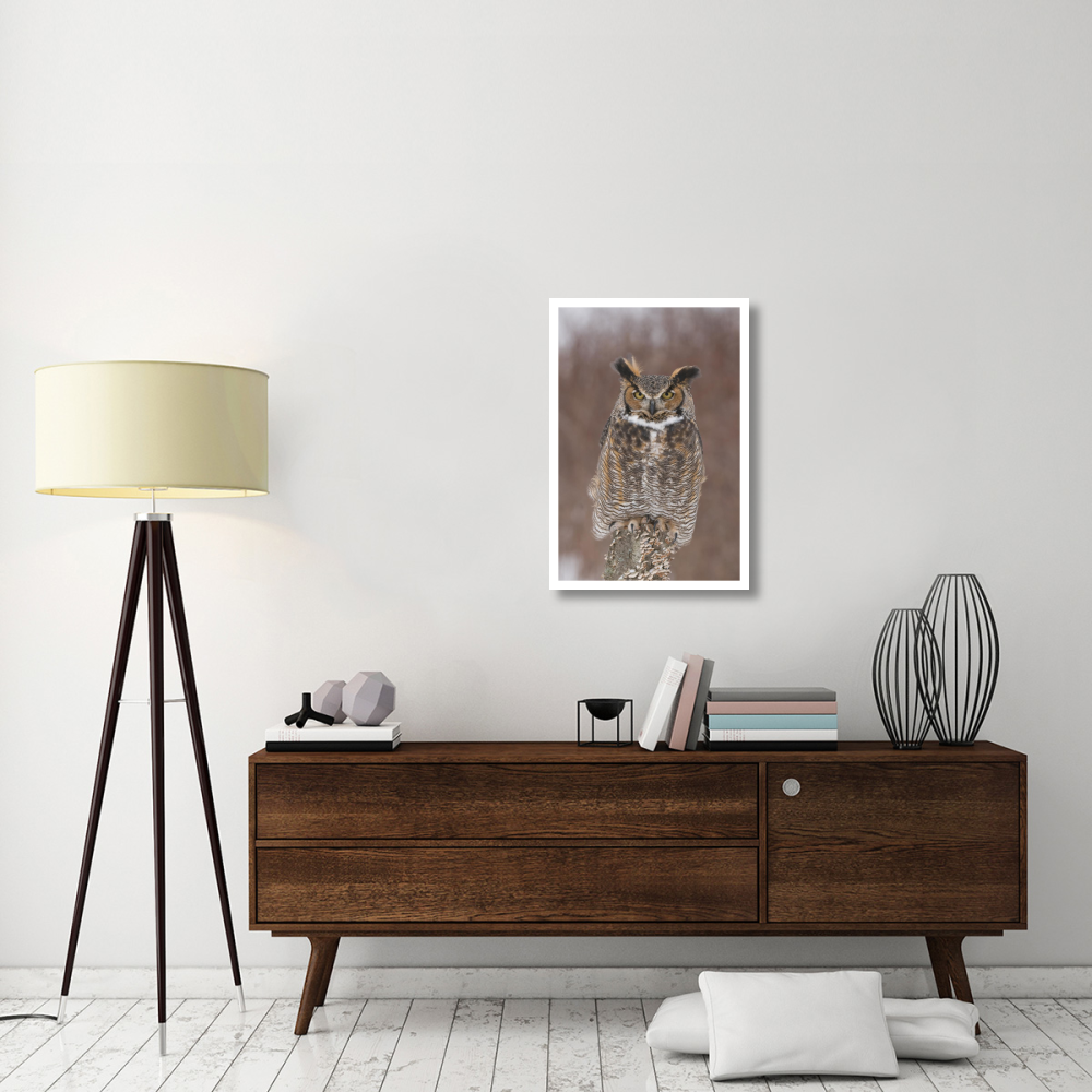 Great Horned Owl, Howell Nature Center, Michigan-Paper Art-22&quotx32"