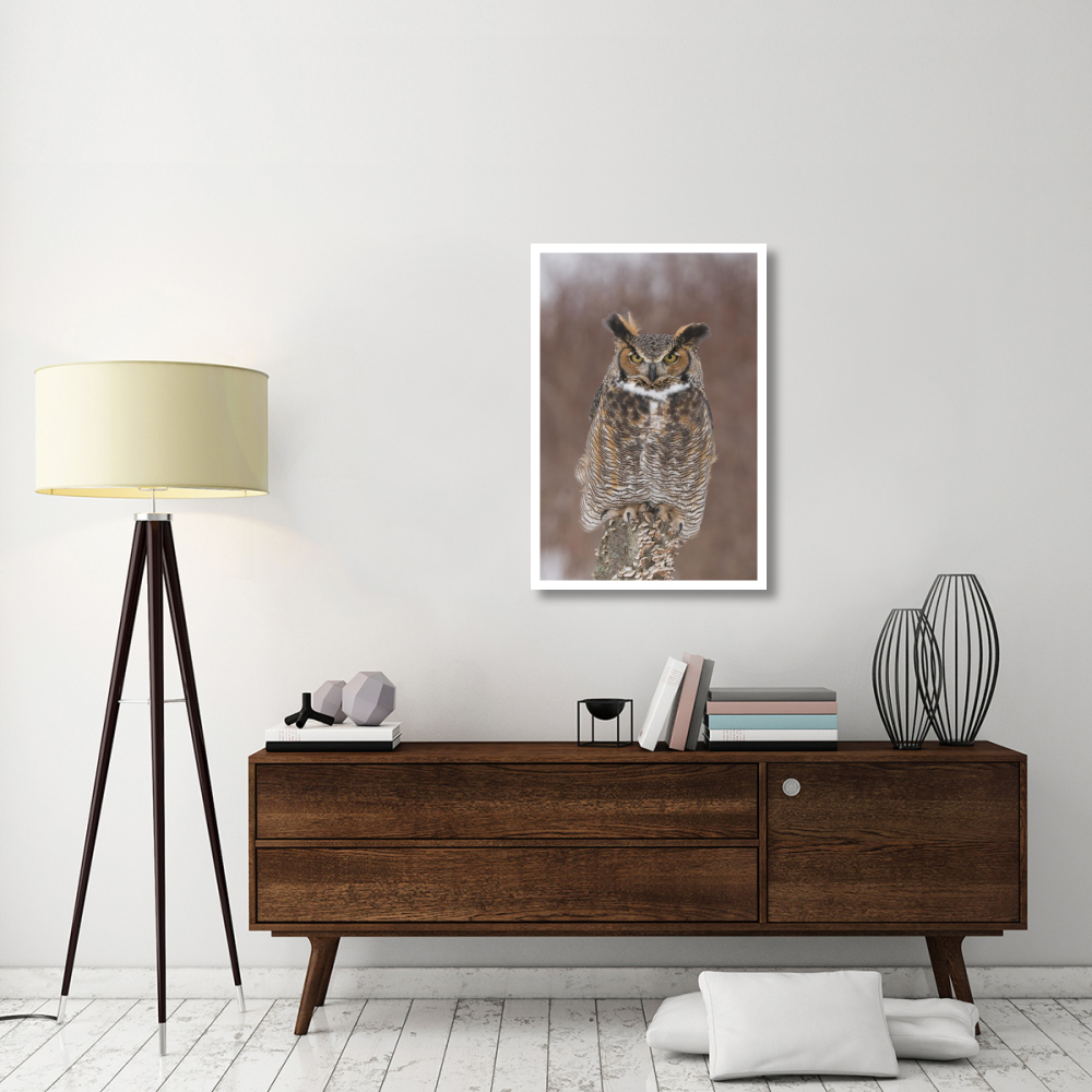 Great Horned Owl, Howell Nature Center, Michigan-Paper Art-26&quotx38"