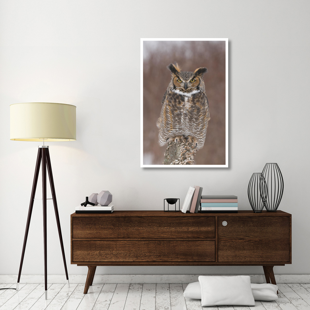 Great Horned Owl, Howell Nature Center, Michigan-Paper Art-34&quotx50"