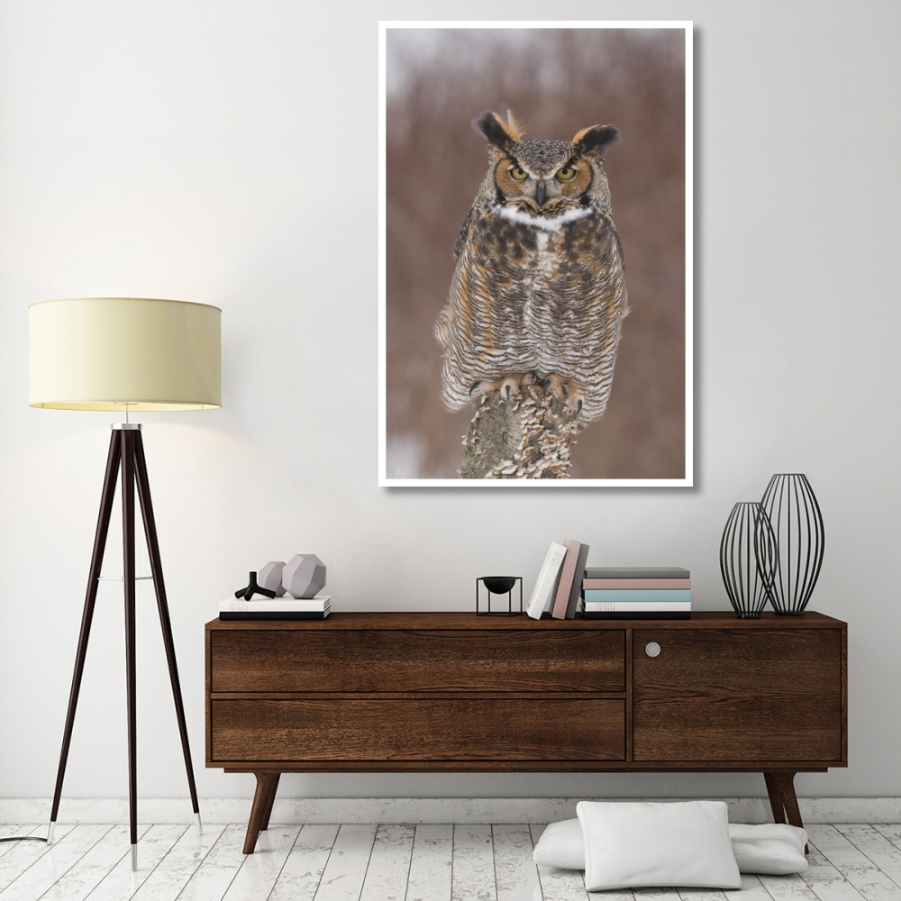 Great Horned Owl, Howell Nature Center, Michigan-Paper Art-42&quotx62"