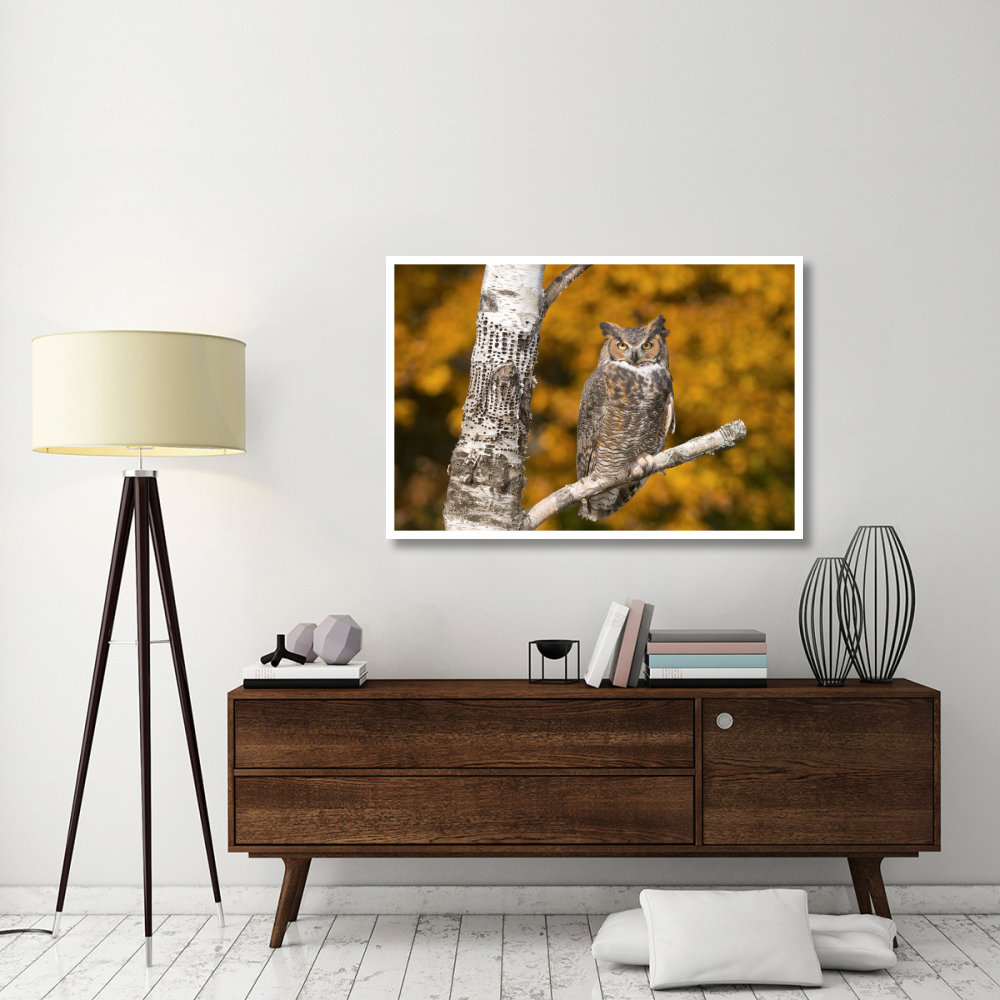 Great Horned Owl, Howell Nature Center, Michigan-Paper Art-50&quotx34"