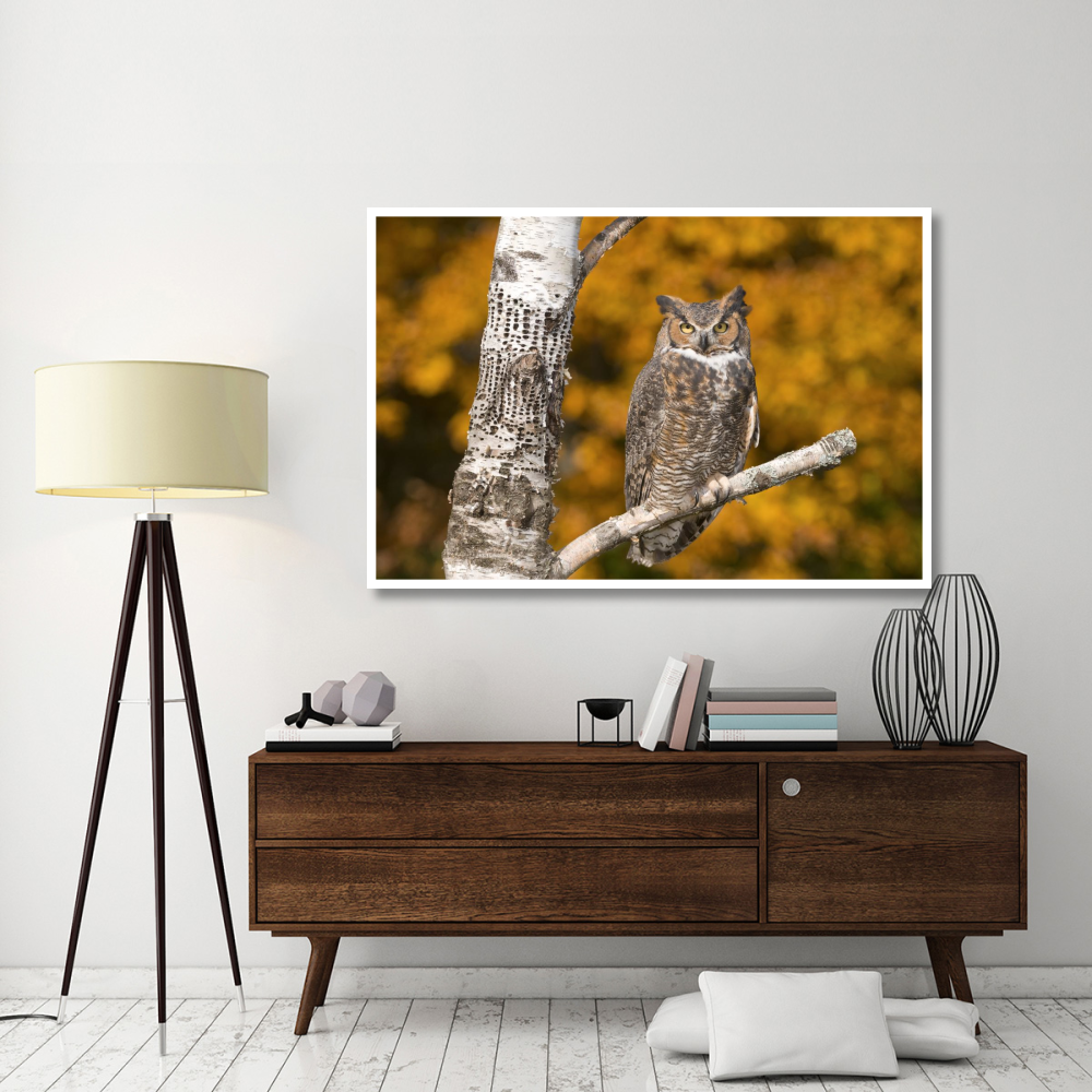 Great Horned Owl, Howell Nature Center, Michigan-Paper Art-62&quotx42"