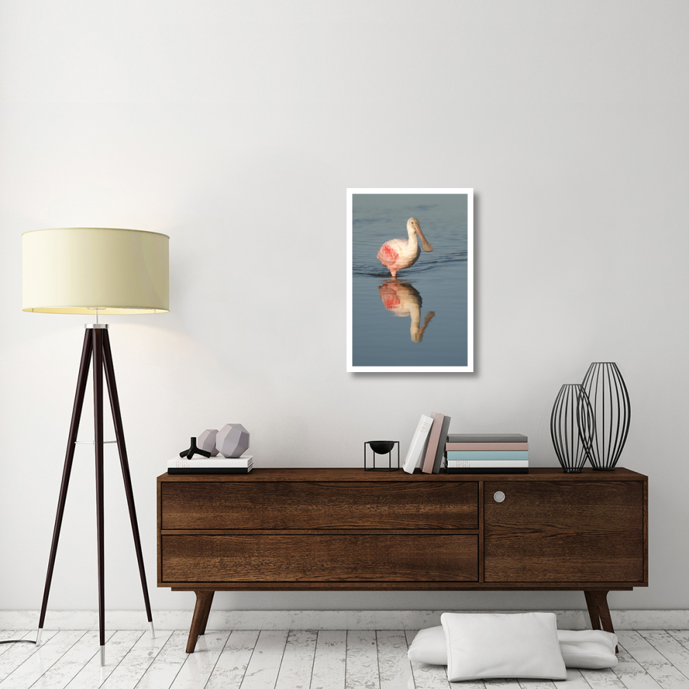 Roseate Spoonbill wading, Fort Myers Beach, Florida-Paper Art-22&quotx32"