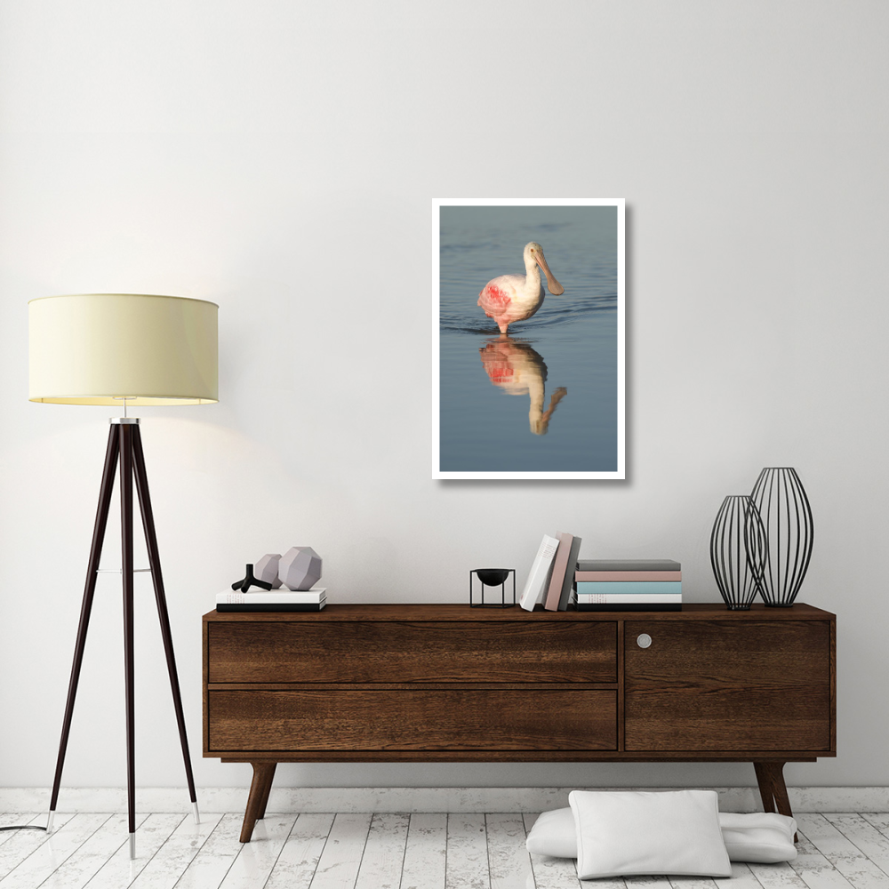 Roseate Spoonbill wading, Fort Myers Beach, Florida-Paper Art-26&quotx38"