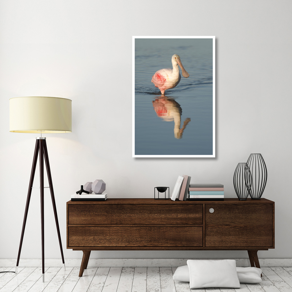 Roseate Spoonbill wading, Fort Myers Beach, Florida-Paper Art-34&quotx50"