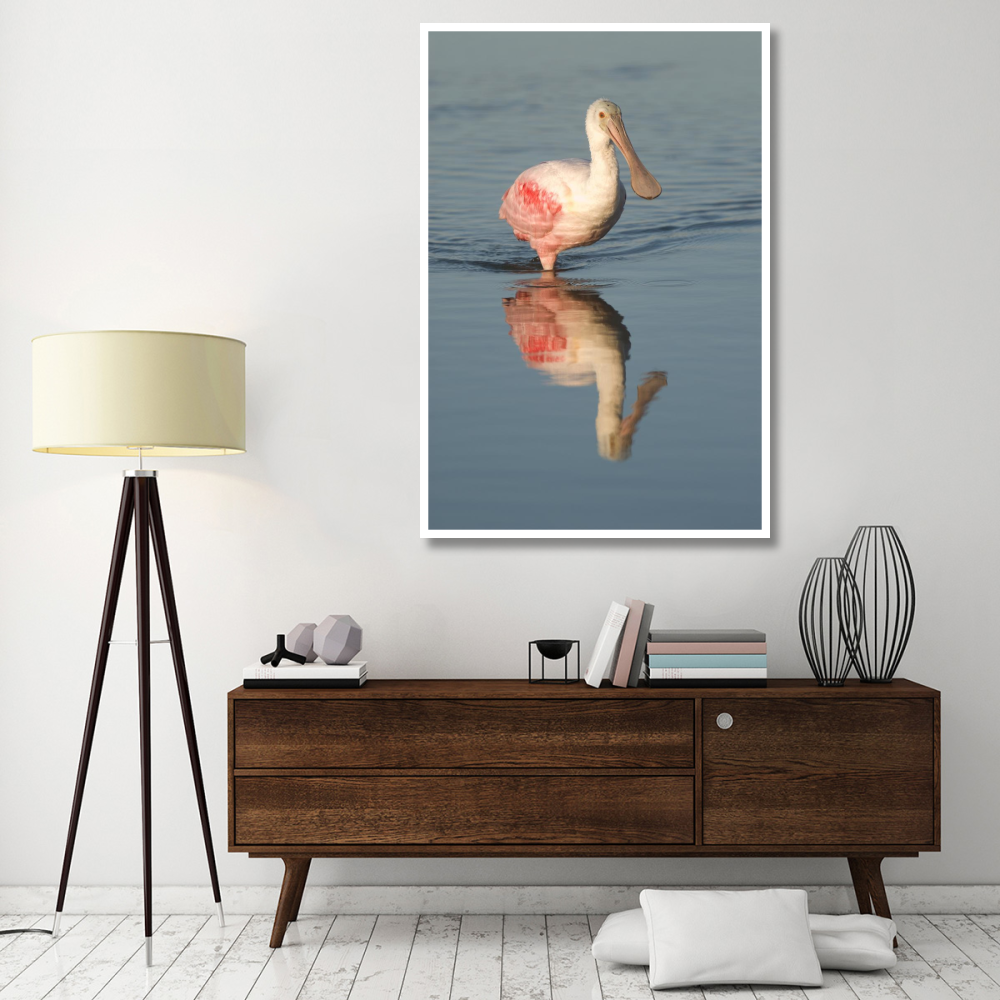 Roseate Spoonbill wading, Fort Myers Beach, Florida-Paper Art-42&quotx62"