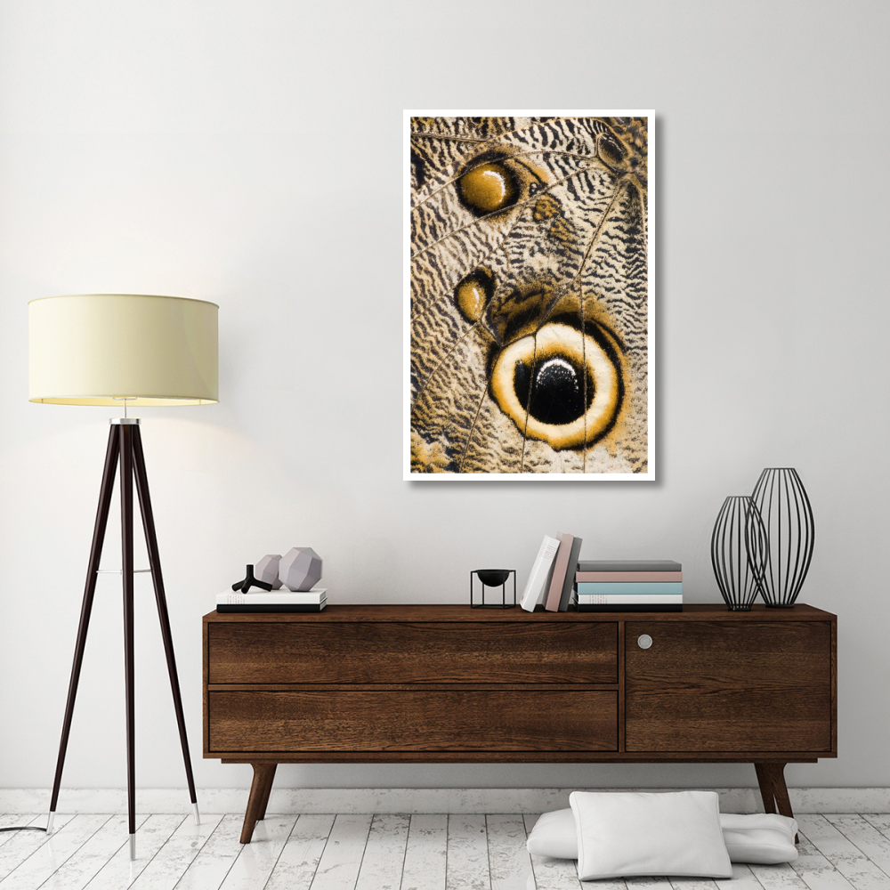 Atreus Owl butterfly wing with false eyespot, Ecuador-Paper Art-34&quotx50"