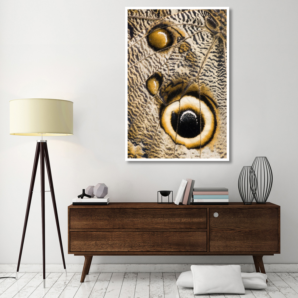 Atreus Owl butterfly wing with false eyespot, Ecuador-Paper Art-42&quotx62"