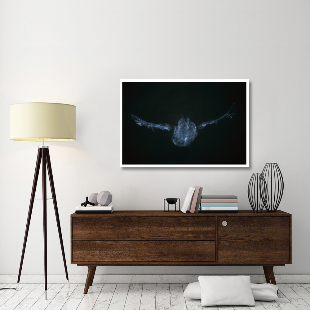 Eastern Screech Owl powder down imprint on glass, Michigan-Paper Art-50&quotx34"