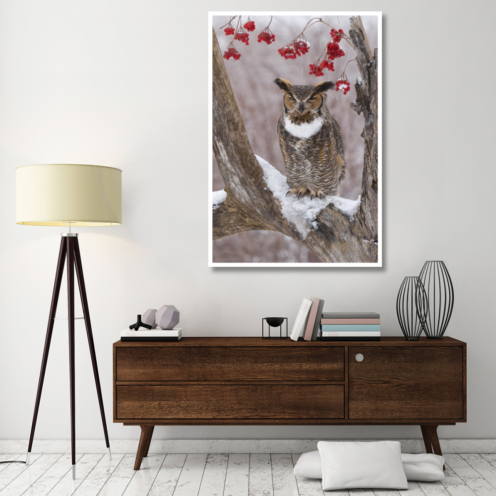 Great Horned Owl in winter, Howell Nature Center, Michigan-Paper Art-42&quotx62"