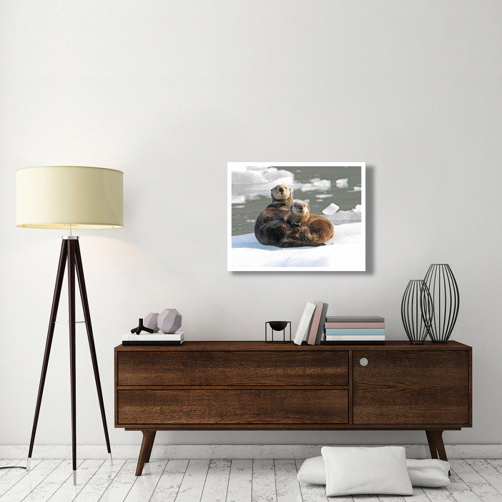 Sea Otter female with pup on ice floe, Prince William Sound, Alaska-Paper Art-34&quotx26"